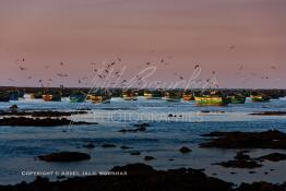 Image du Maroc Professionnelle de  Un fabuleux coucher de Soleil sur les rocher et les barques du port de Souiria Lekdima un village de pêcheurs, situé à 30 km au sud de Safi au Maroc. Ce merveilleux site réuni la mer la forêt et l'embouchure du fleuve Tensift avec l'océan Atlantique, Vendredi 14 Avril 2006. (Photo / Abdeljalil Bounhar)


 